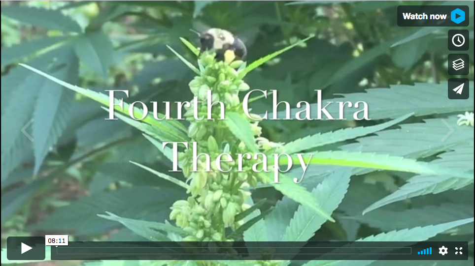 Fourth Chakra Therapy Bee in LOVE...