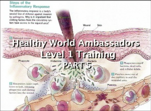 Healthy World Ambassador Training &#8211...